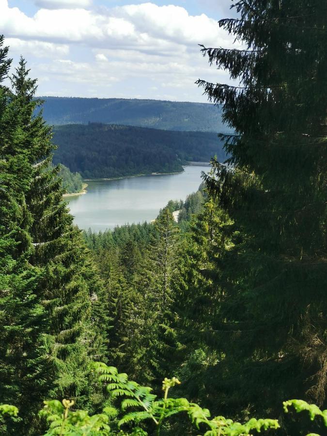 Ferienwohnung Nähe Nationalpark Baiersbronn Exterior foto