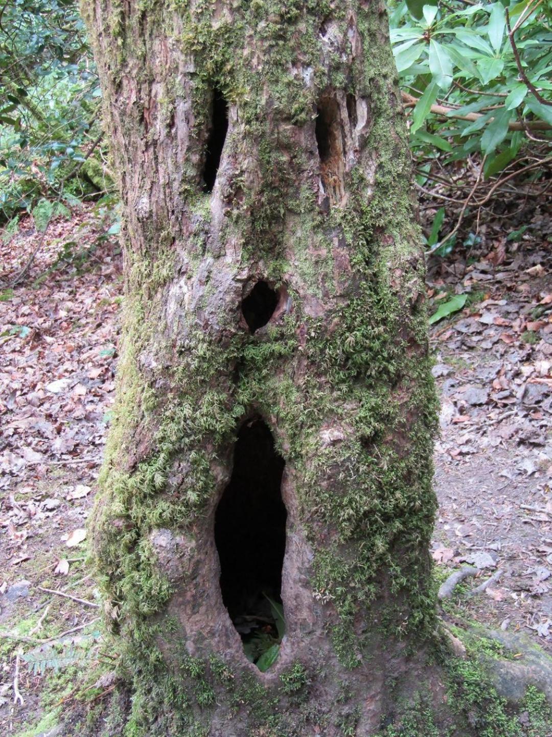 Ferienwohnung Nähe Nationalpark Baiersbronn Exterior foto