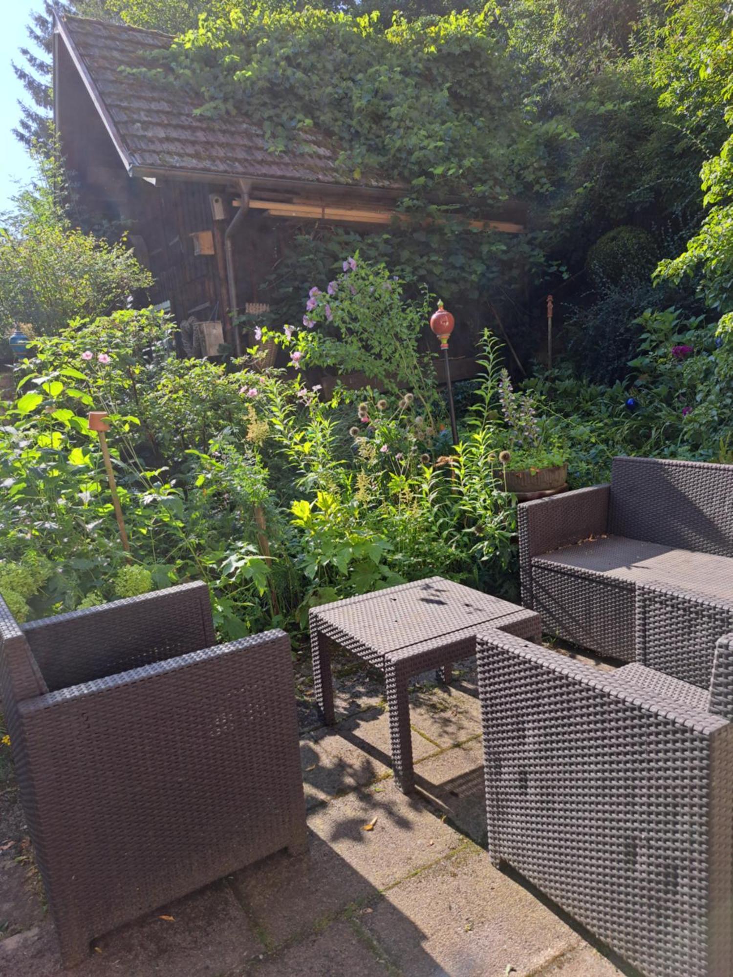 Ferienwohnung Nähe Nationalpark Baiersbronn Exterior foto