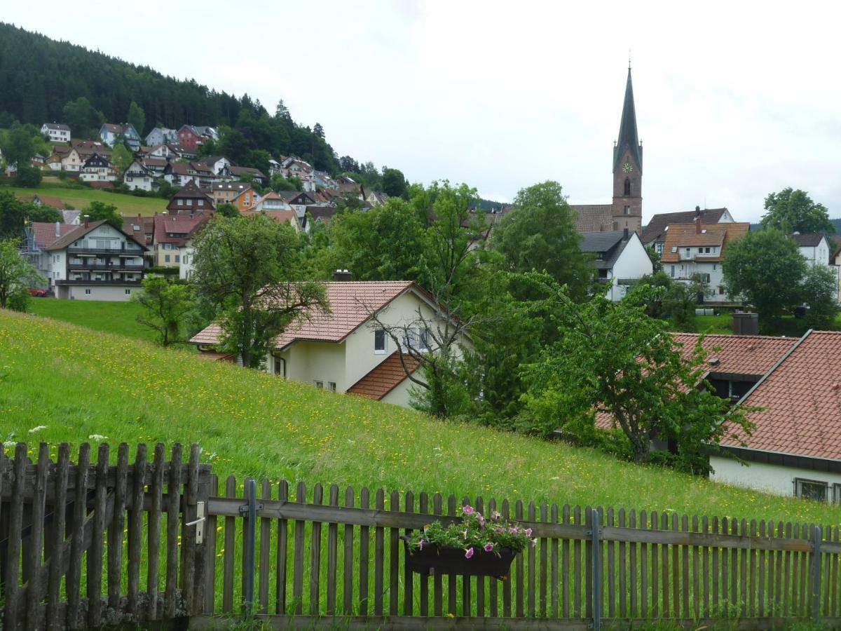 Ferienwohnung Nähe Nationalpark Baiersbronn Exterior foto