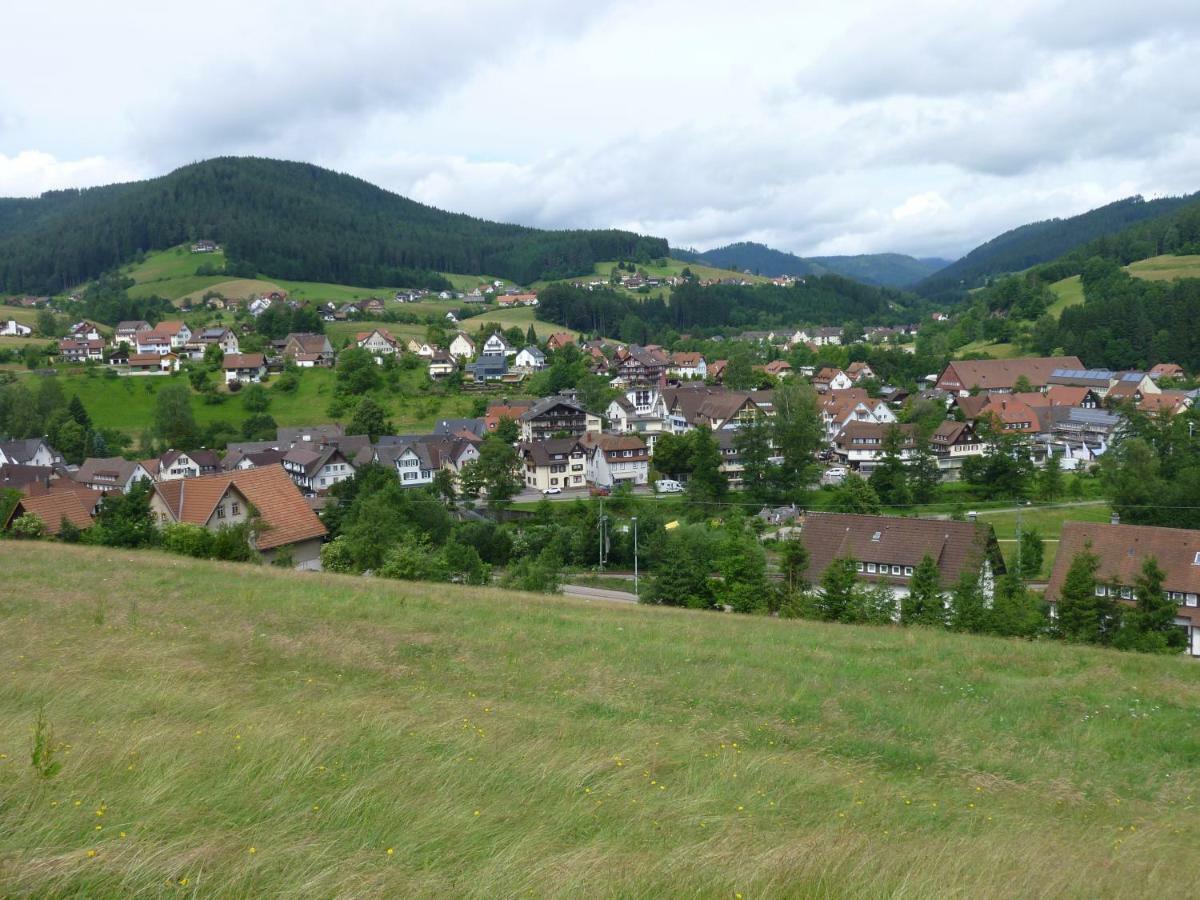 Ferienwohnung Nähe Nationalpark Baiersbronn Exterior foto